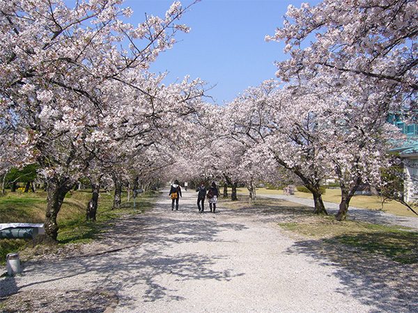 鏡野公園・高知工科大